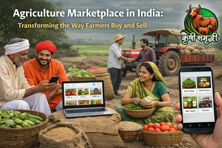 Agriculture Marketplace in India: Transforming the Way Farmers Buy and Sell