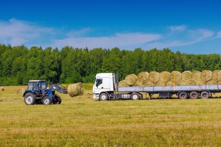 ऑनलाइन कृषी इनपुट मार्केटप्लेस: बियाणे आणि खतांची डिजिटल खरेदी-विक्री