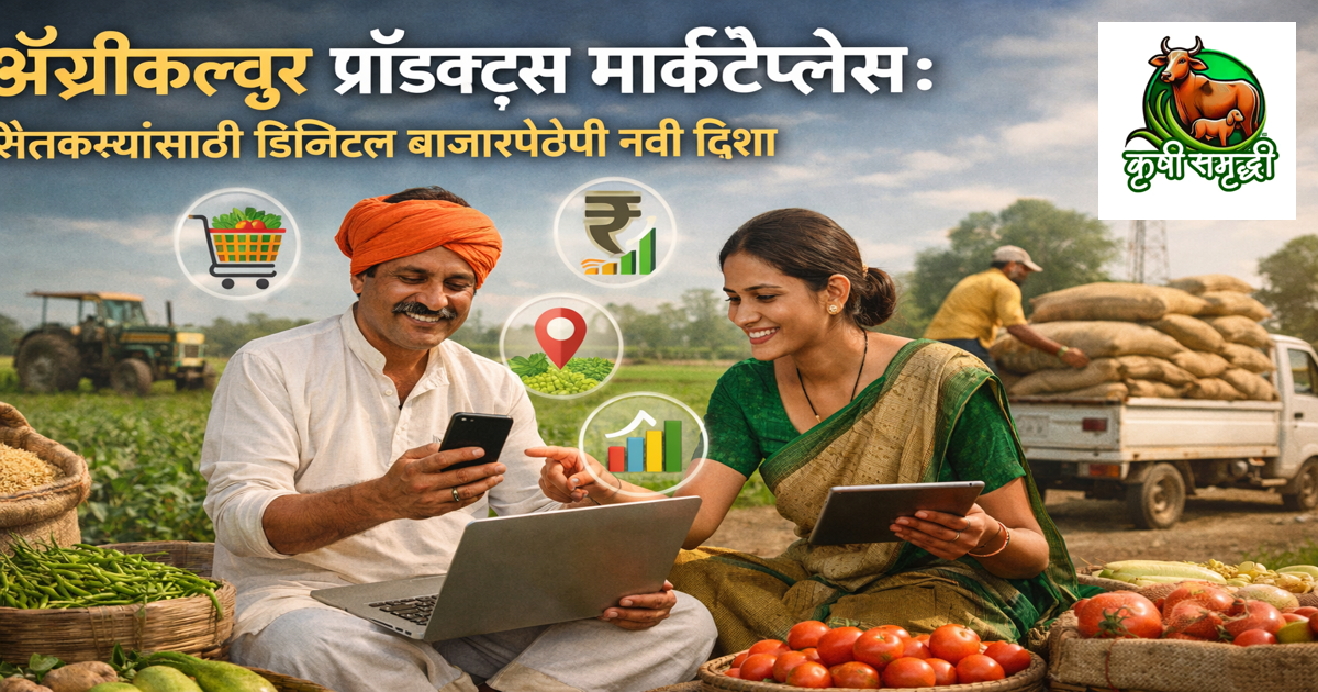 अ‍ॅग्रीकल्चर प्रॉडक्ट्स मार्केटप्लेस: शेतकऱ्यांसाठी डिजिटल बाजारपेठेची नवी दिशा